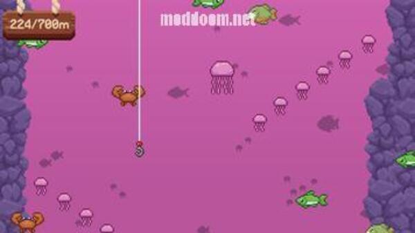 Exquisite Fishing APK Full Game