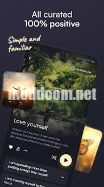 Innertune APK Download