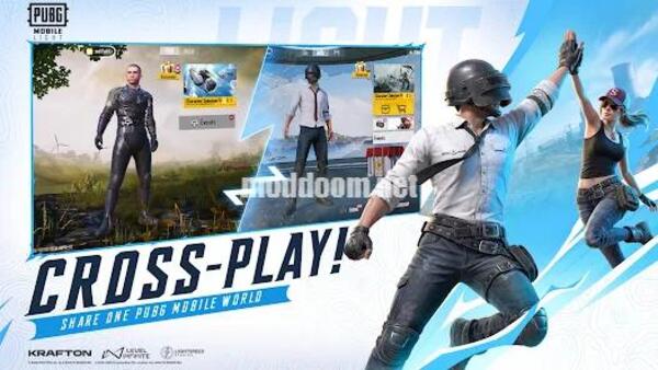 PUBG Mobile Light APK Unlocked Game